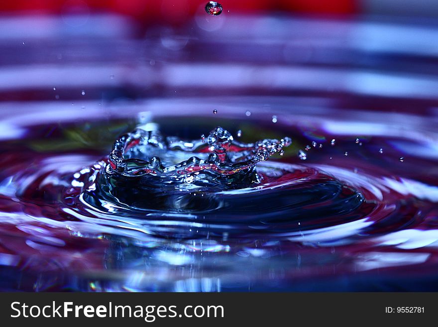 Water Drop With Flower In Background