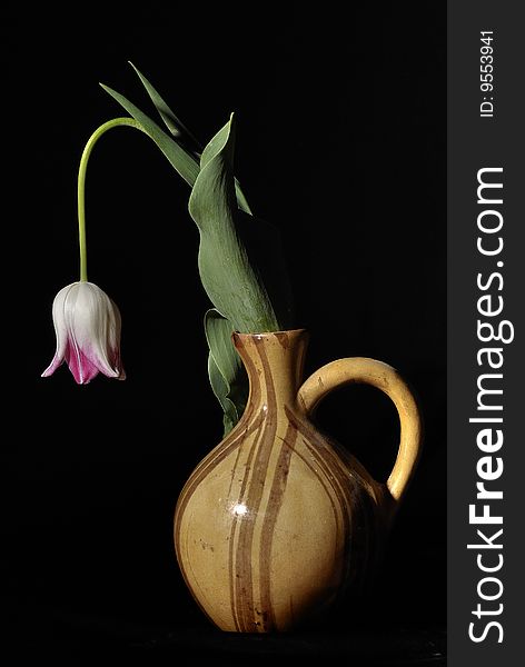 Withering tulip in a brown jug. Withering tulip in a brown jug
