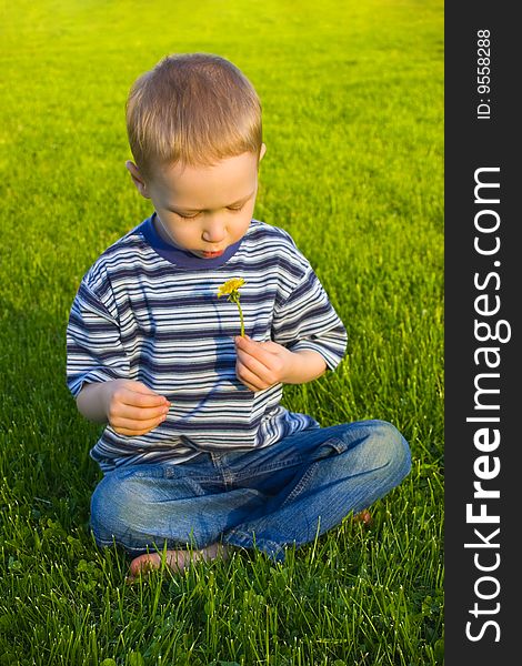 The four-year boy sits on a grass crossing legs and blows on a dandelion. The four-year boy sits on a grass crossing legs and blows on a dandelion