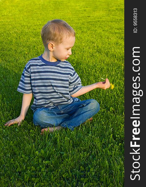 Boy Sits On Grass