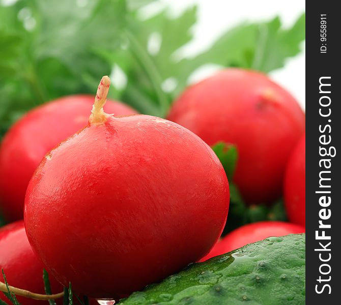 Close up of a radish