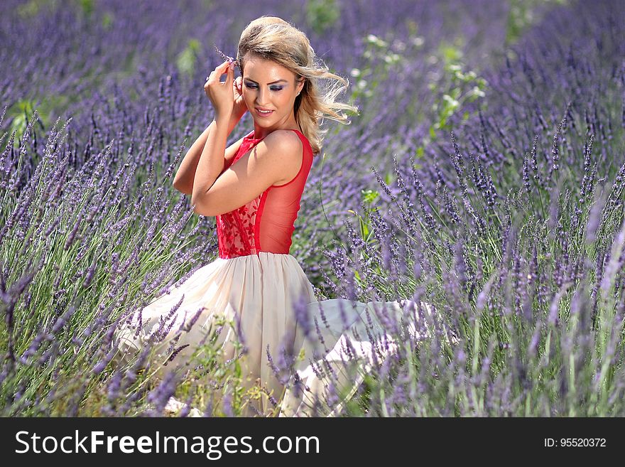 Flower, Purple, Beauty, Grass