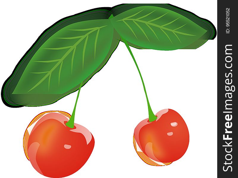 Fruit, Produce, Plant, Cherry