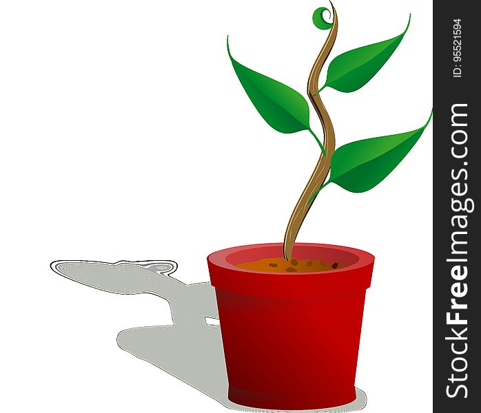 Flowerpot, Plant, Flower, Product Design