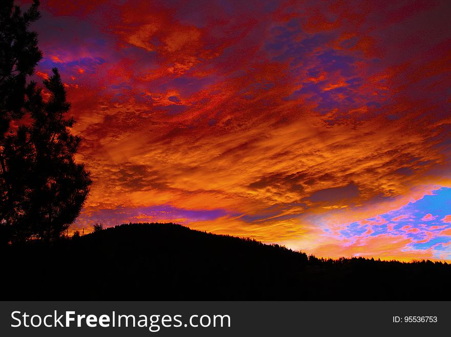 Silhouette Of Forest During Golden Hour