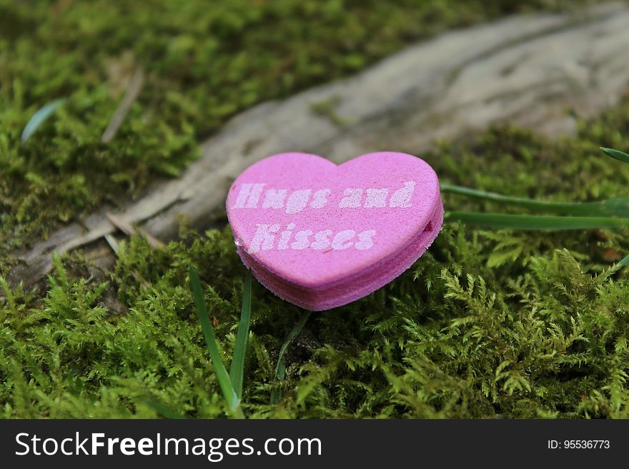 Close-up Of Heart Shape Pink