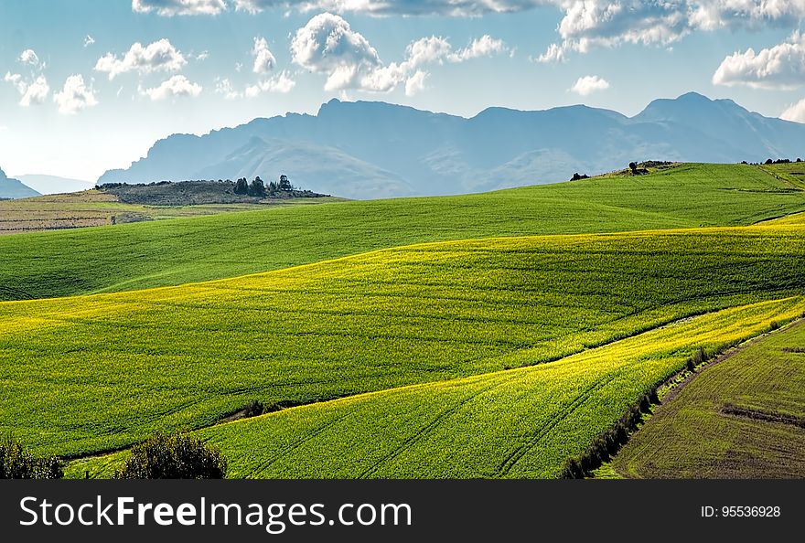 Green fields on rolling hills in countryside landscape with blue skies on sunny day. Green fields on rolling hills in countryside landscape with blue skies on sunny day.