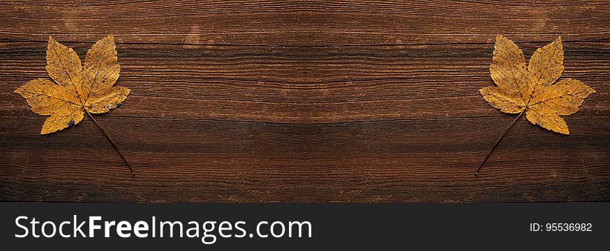 Panoramic wood surface with golden fall foliage. Panoramic wood surface with golden fall foliage.