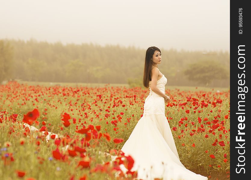 Bride in white gown standing in field of red poppies. Bride in white gown standing in field of red poppies.
