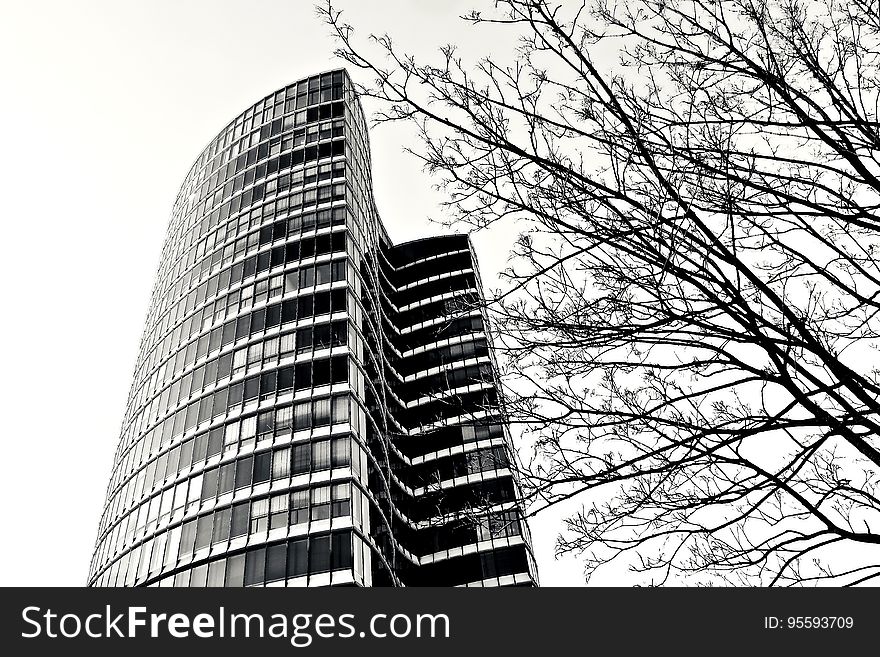 A skyscraper in black and white with a tree in front.