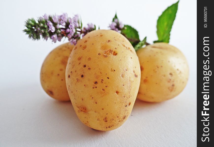Yellow Oval Potato
