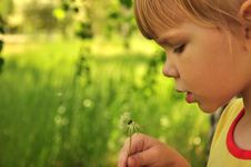 The Girl With A Dandelion Stock Photography The Girl With A Dandelion Stock Photography