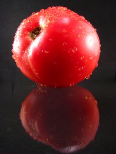 Tomato With Water Drops Royalty Free Stock Image