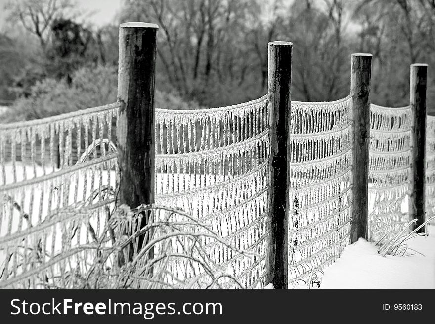 Frozen Fence Line After An Ice Storm