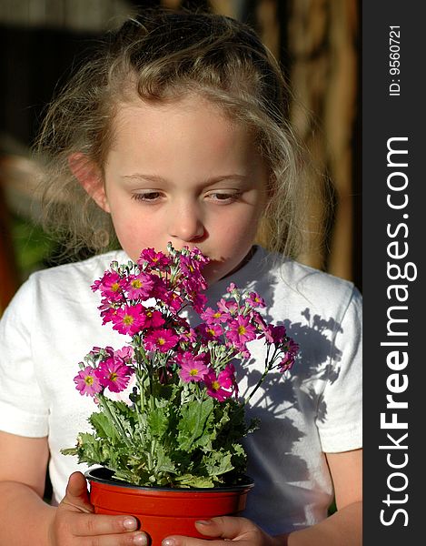 Little girl carrying a pot of pink flowers. Little girl carrying a pot of pink flowers