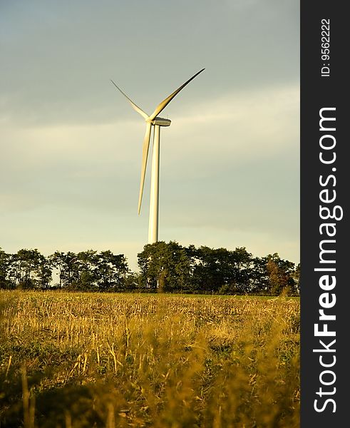 Wind turbine on a Western New York farm in October