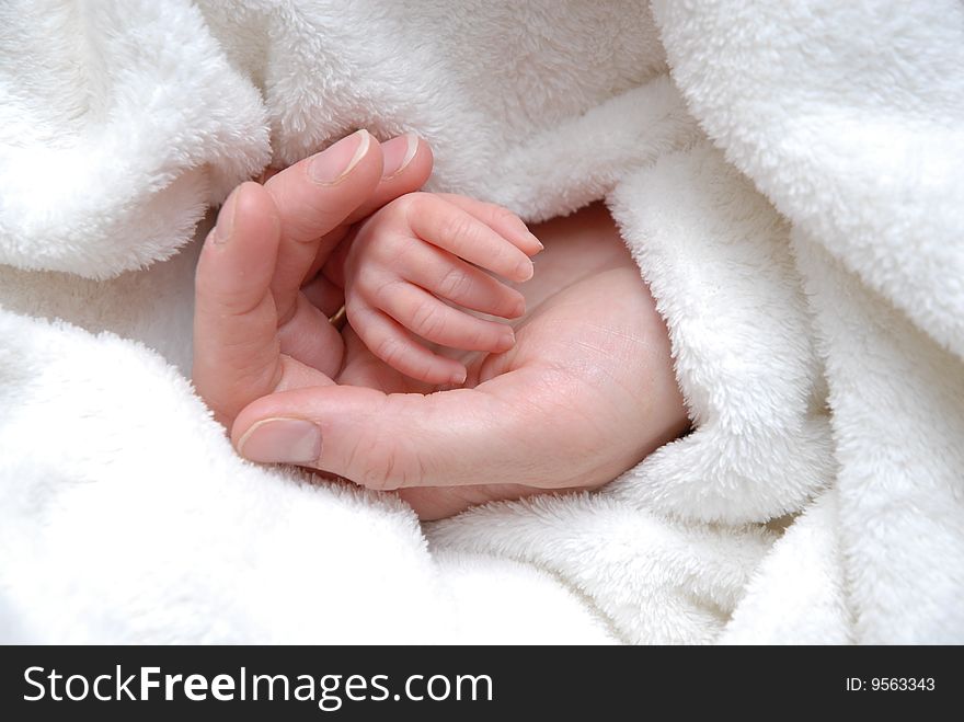 A newborn baby's hand laying in it's mother's hand. A newborn baby's hand laying in it's mother's hand