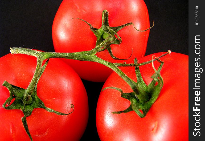 Three red tomatoes attached to a vine on a white background. Three red tomatoes attached to a vine on a white background