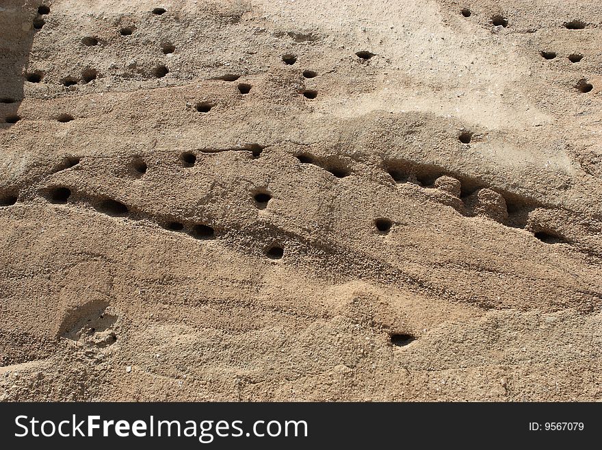 Swallow Nests In Sand