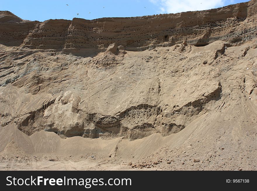 Swallow nests in sand and swallows flying. Swallow nests in sand and swallows flying