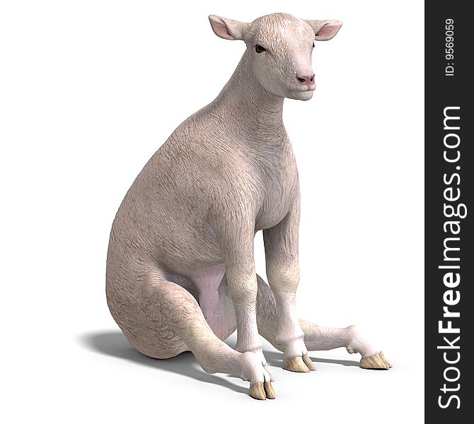 Rendering of a young sheep with clipping path and shadow over white. Rendering of a young sheep with clipping path and shadow over white