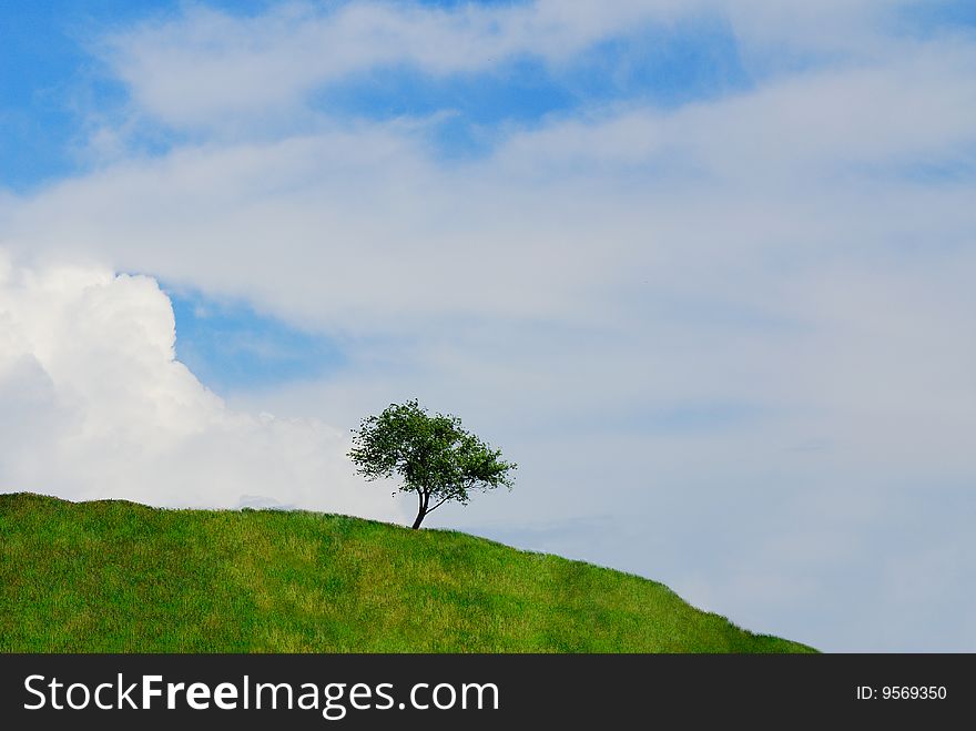 Single tree on  green hill on  background of  sky with white clouds