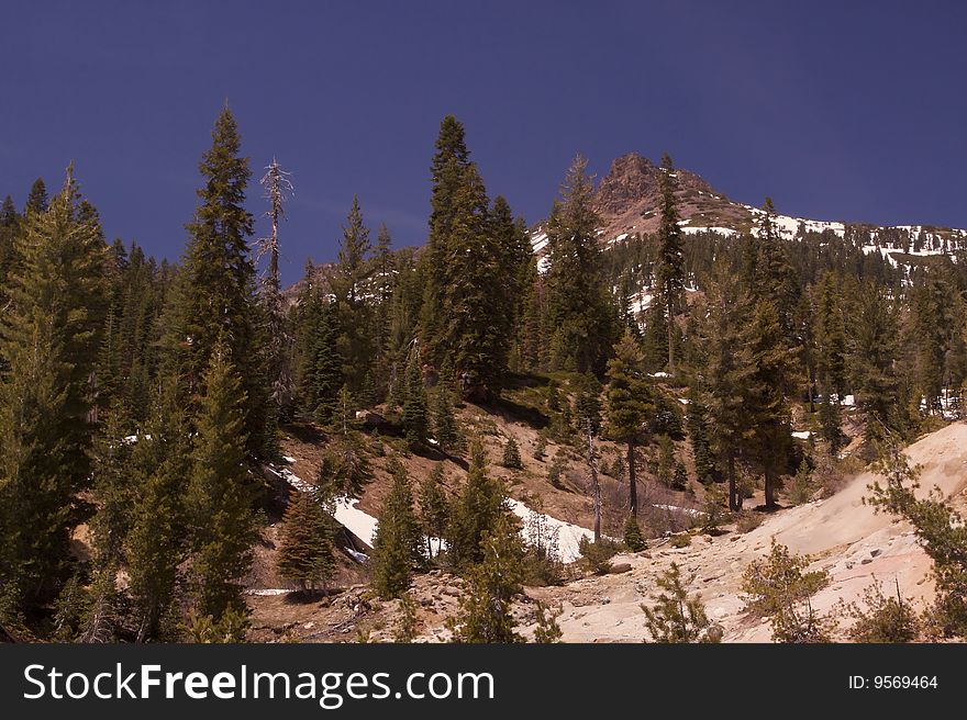 Mountian Peak and Pine Trees