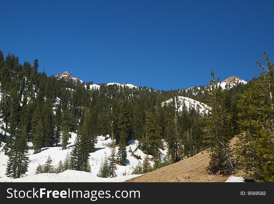 Stone mountain peaks with Pine trees and snow. Stone mountain peaks with Pine trees and snow