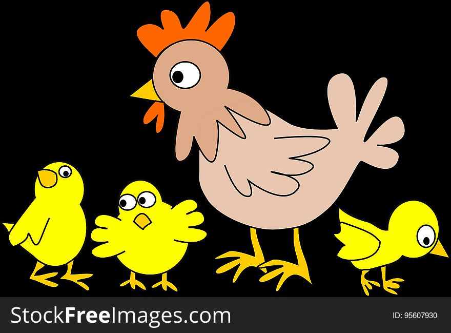 Bird, Chicken, Beak, Rooster