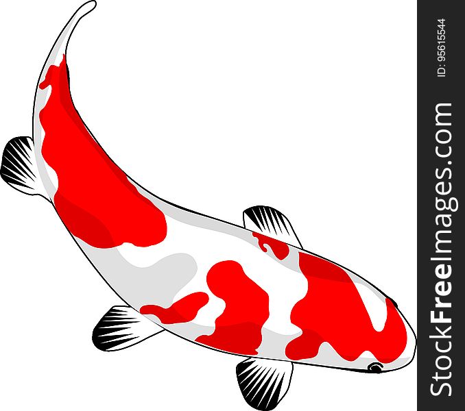 Red, Fish, Wing, Clip Art