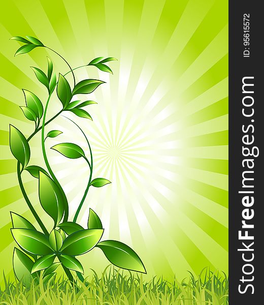 Green, Leaf, Vegetation, Flora