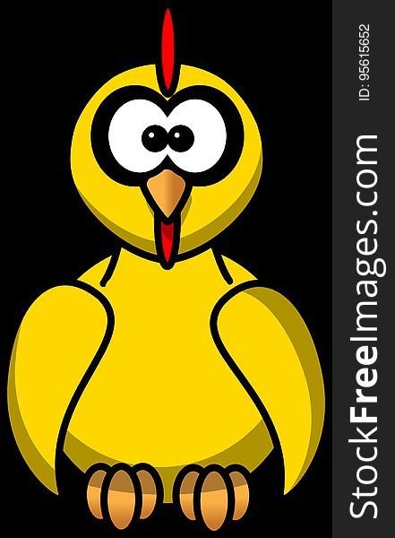 Yellow, Bird, Beak, Vertebrate