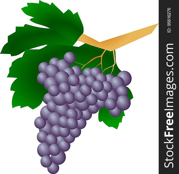 Grape, Produce, Fruit, Food