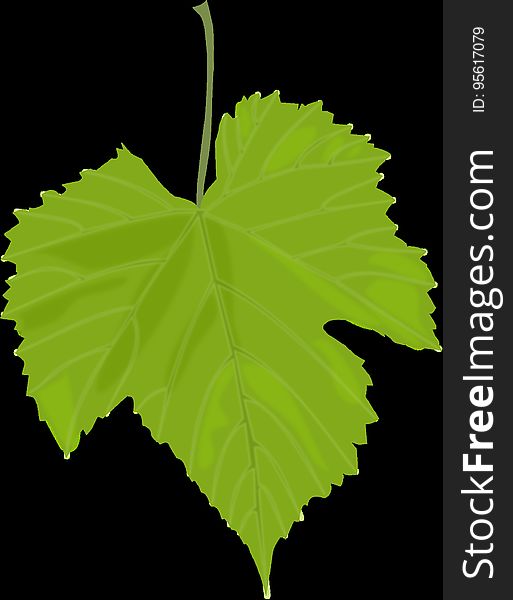 Leaf, Grape Leaves, Plant, Plant Stem
