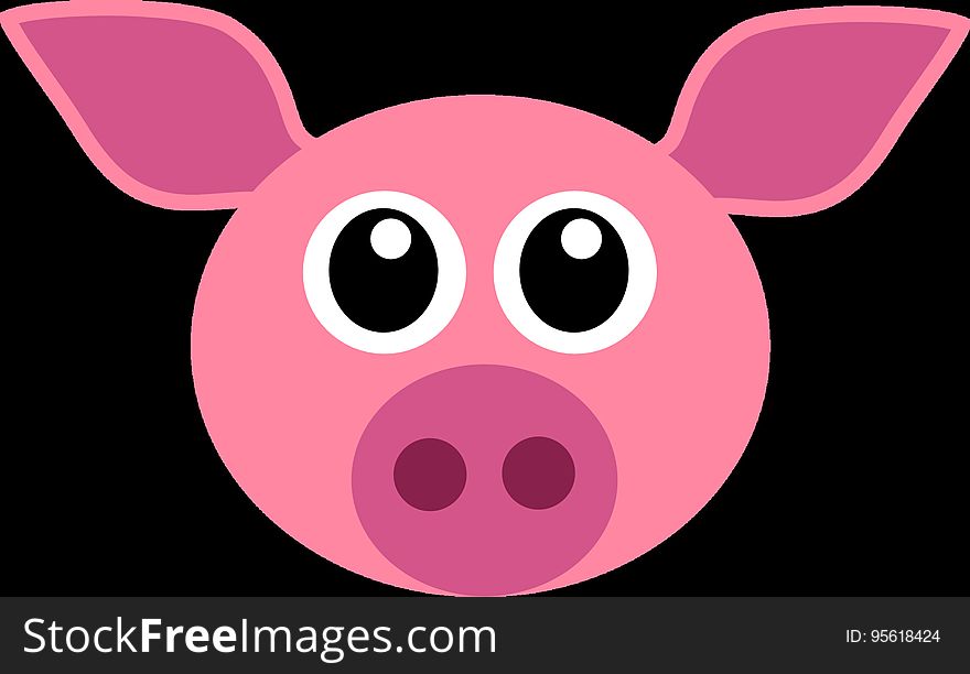 Pink, Mammal, Pig, Nose