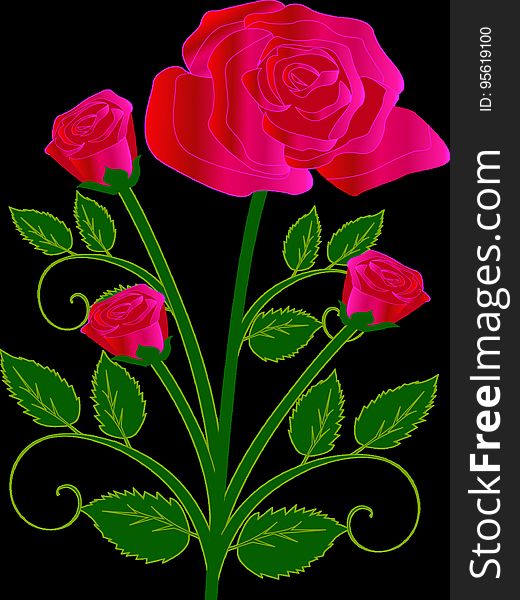 Flower, Flowering Plant, Rose Family, Pink