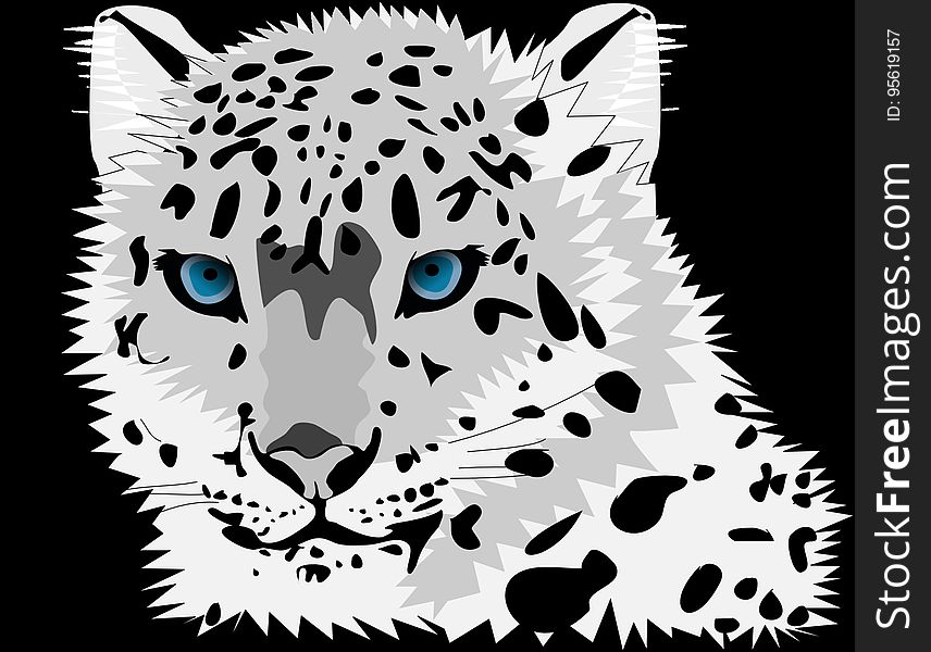 Black And White, Black, Face, Leopard