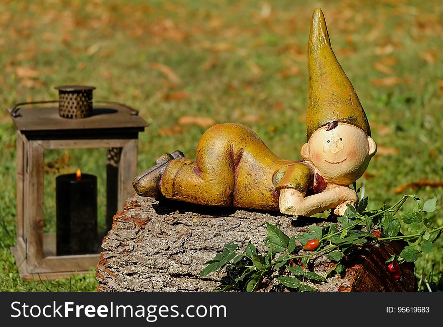 Garden Gnome, Lawn Ornament, Grass, Leaf