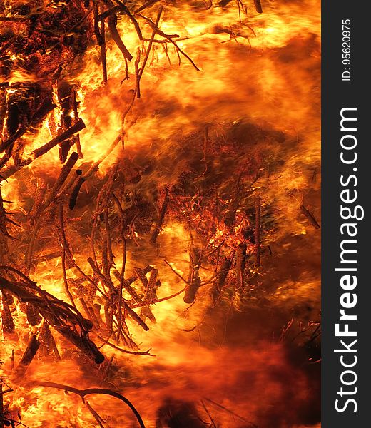 Wildfire, Geological Phenomenon, Flame, Fire