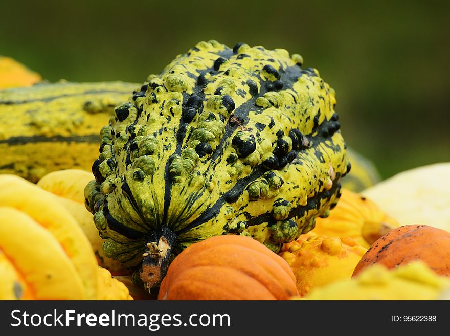 Fruit, Vegetable, Vegetarian Food, Winter Squash