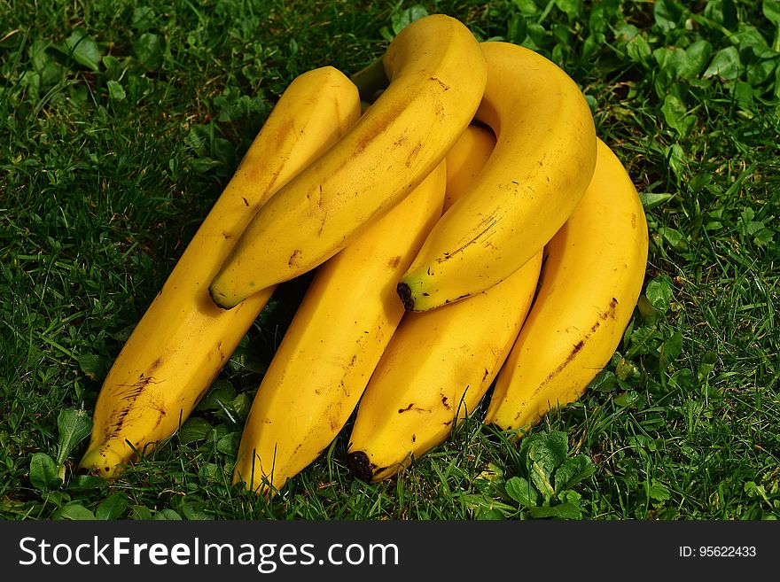 Banana, Yellow, Produce, Banana Family
