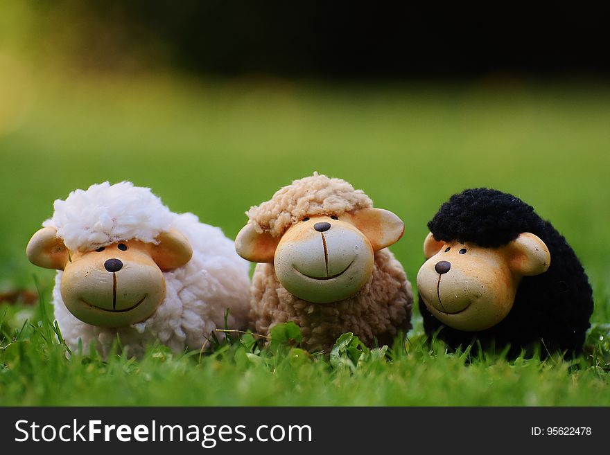 Mammal, Stuffed Toy, Sheep, Grass