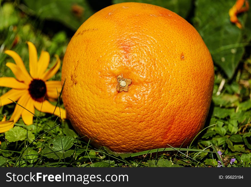 Fruit, Citrus, Produce, Tangerine