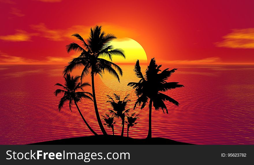 Sunset, Sky, Palm Tree, Arecales