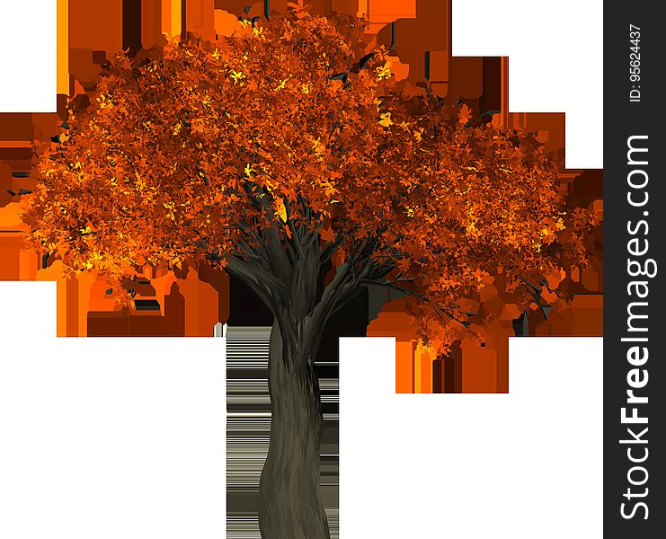 Tree, Leaf, Orange, Autumn