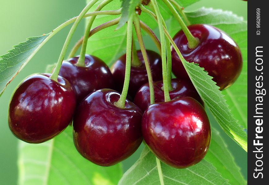 Natural Foods, Cherry, Fruit, Produce