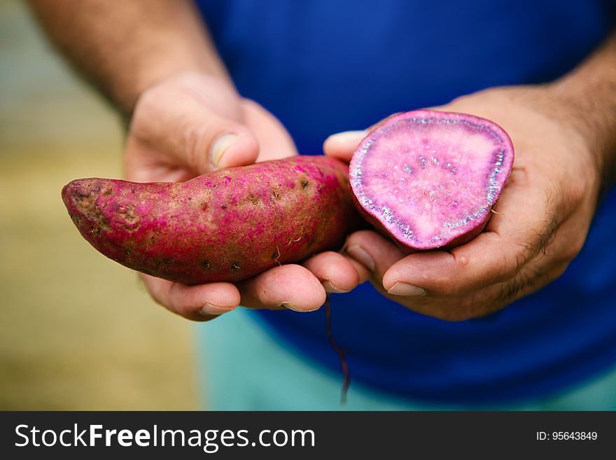 Hand, Plant, Finger, Gesture, Pink, Tree