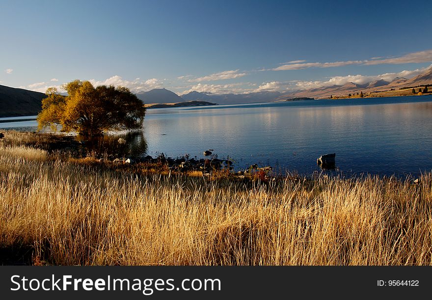 Autumn At Lake Tekapo NZ.