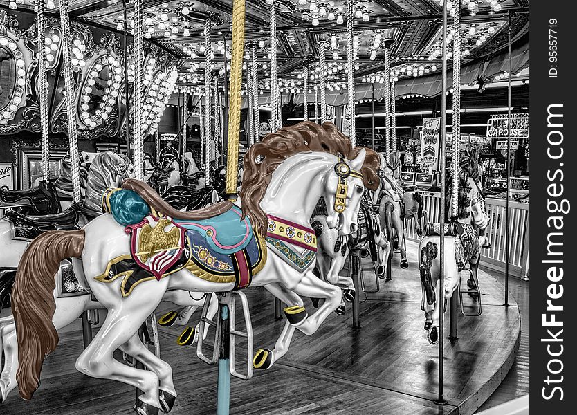 Amusement Ride, Carousel, Horse, Amusement Park