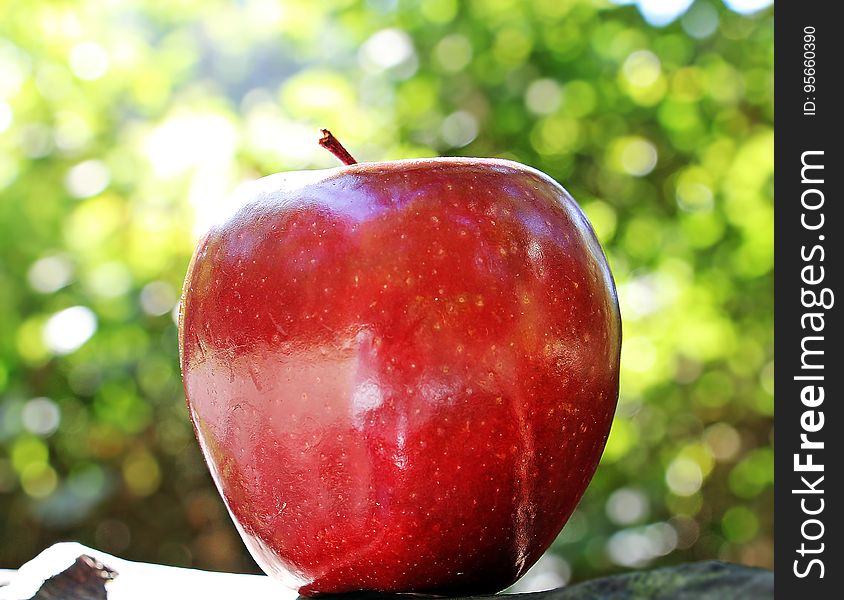 Apple, Fruit, Local Food, Produce